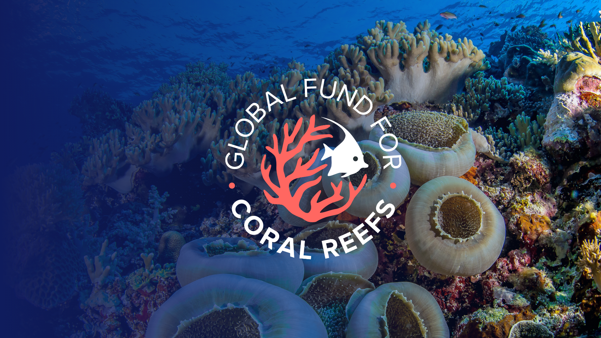 Global Fund for Coral Reefs logo and picture of anemones 