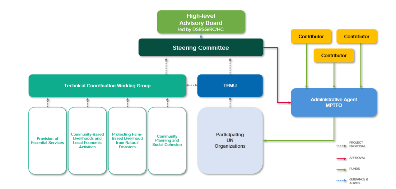 STFA governance structure