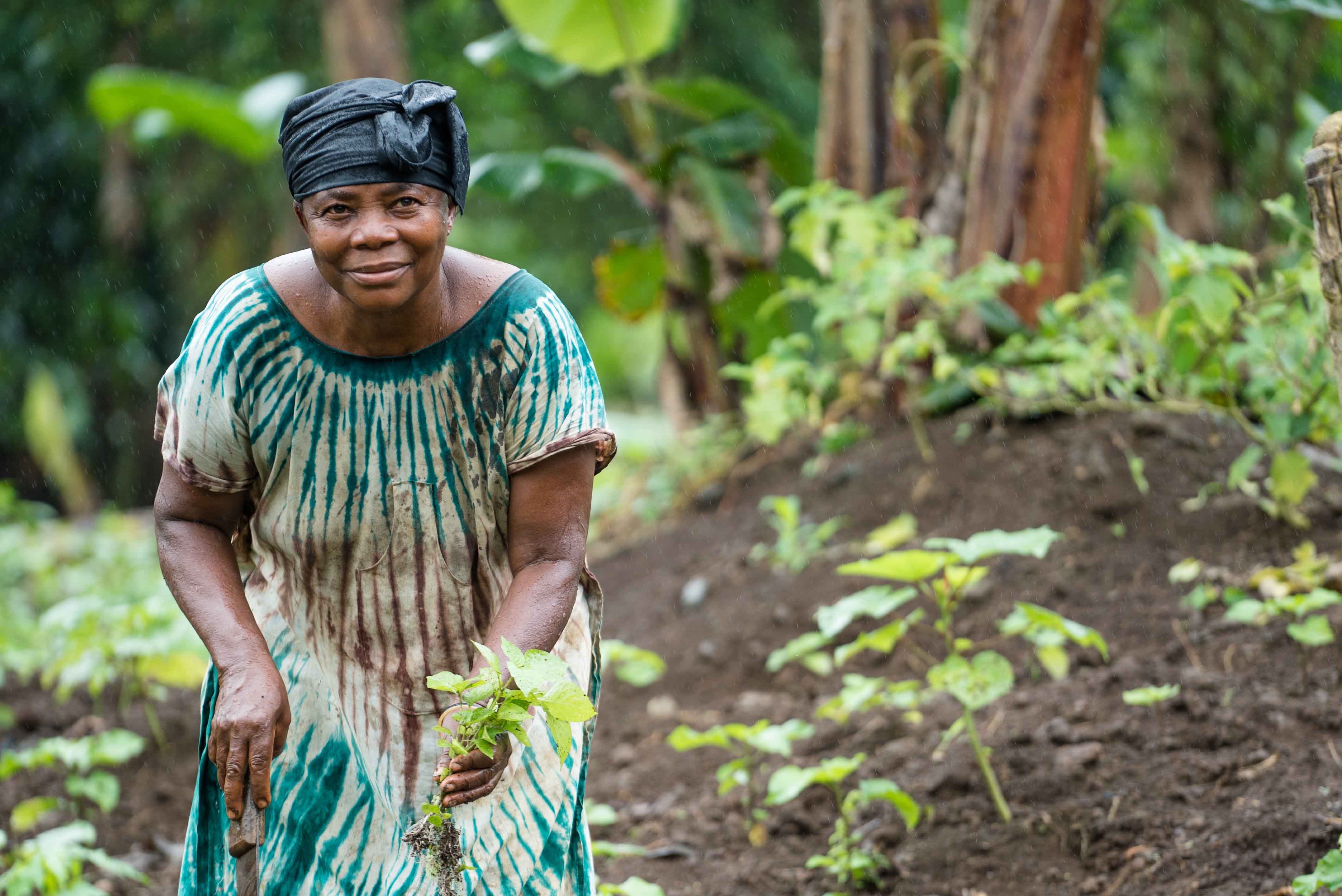 CAFI News picture 4 NOV 21 woman doing agriculture in the forest