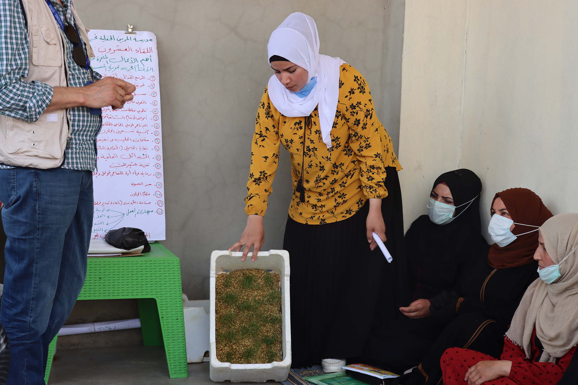 FAO farmers field schools