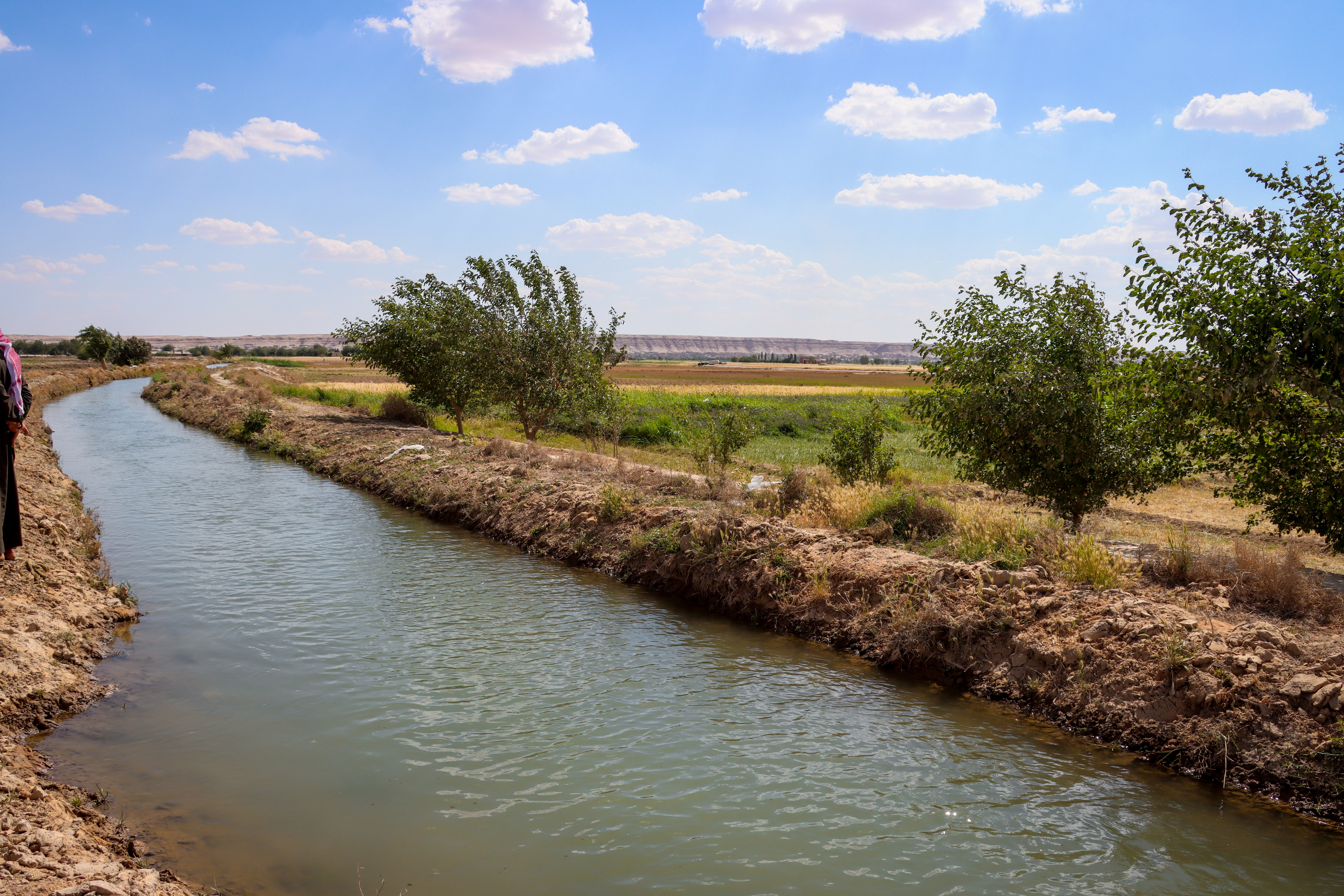 WFP - canal rehab DEZ