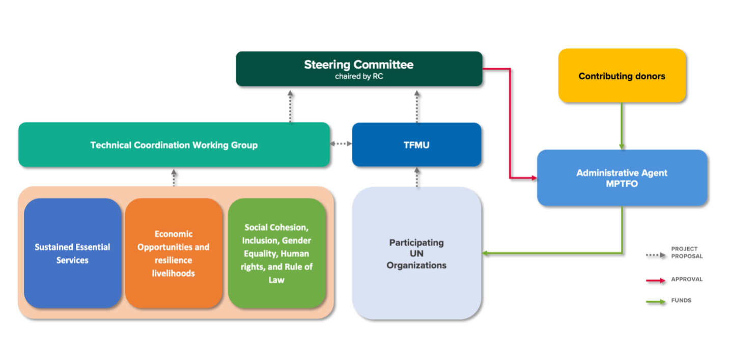 Governance graphic for the STFA 