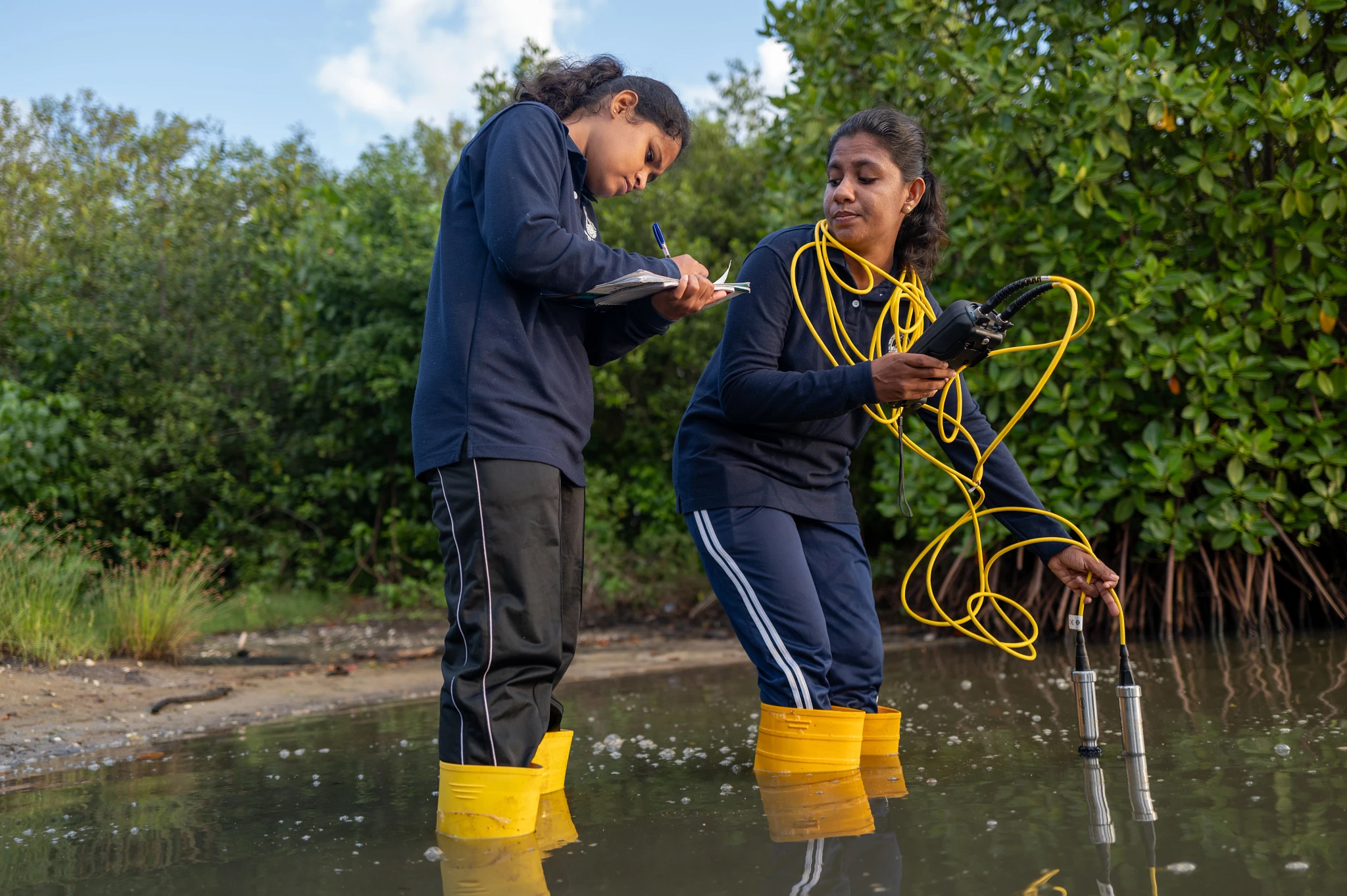 UN Decade on Ecosystem Restoration UNEP Sri Lanka