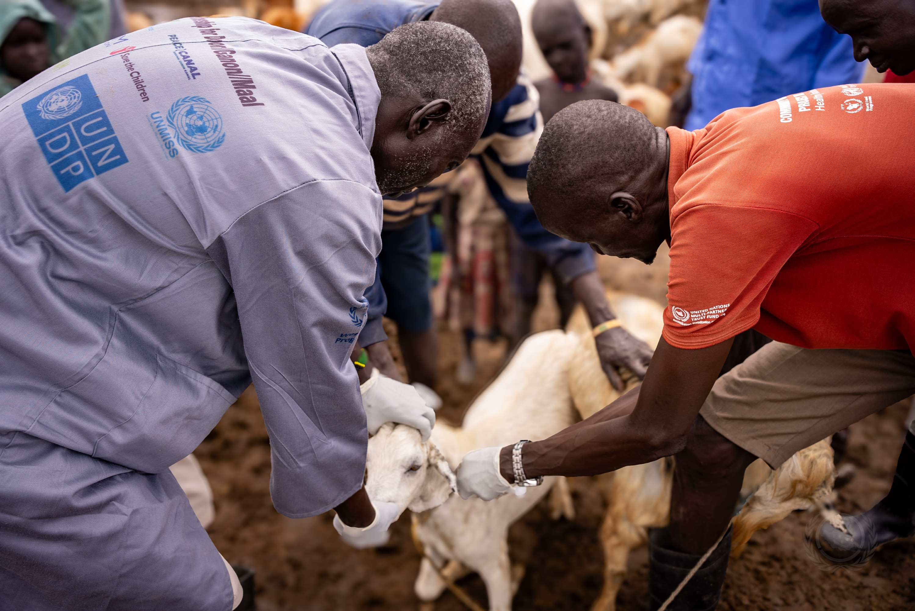 South Sudan RSRTF pic people and goat