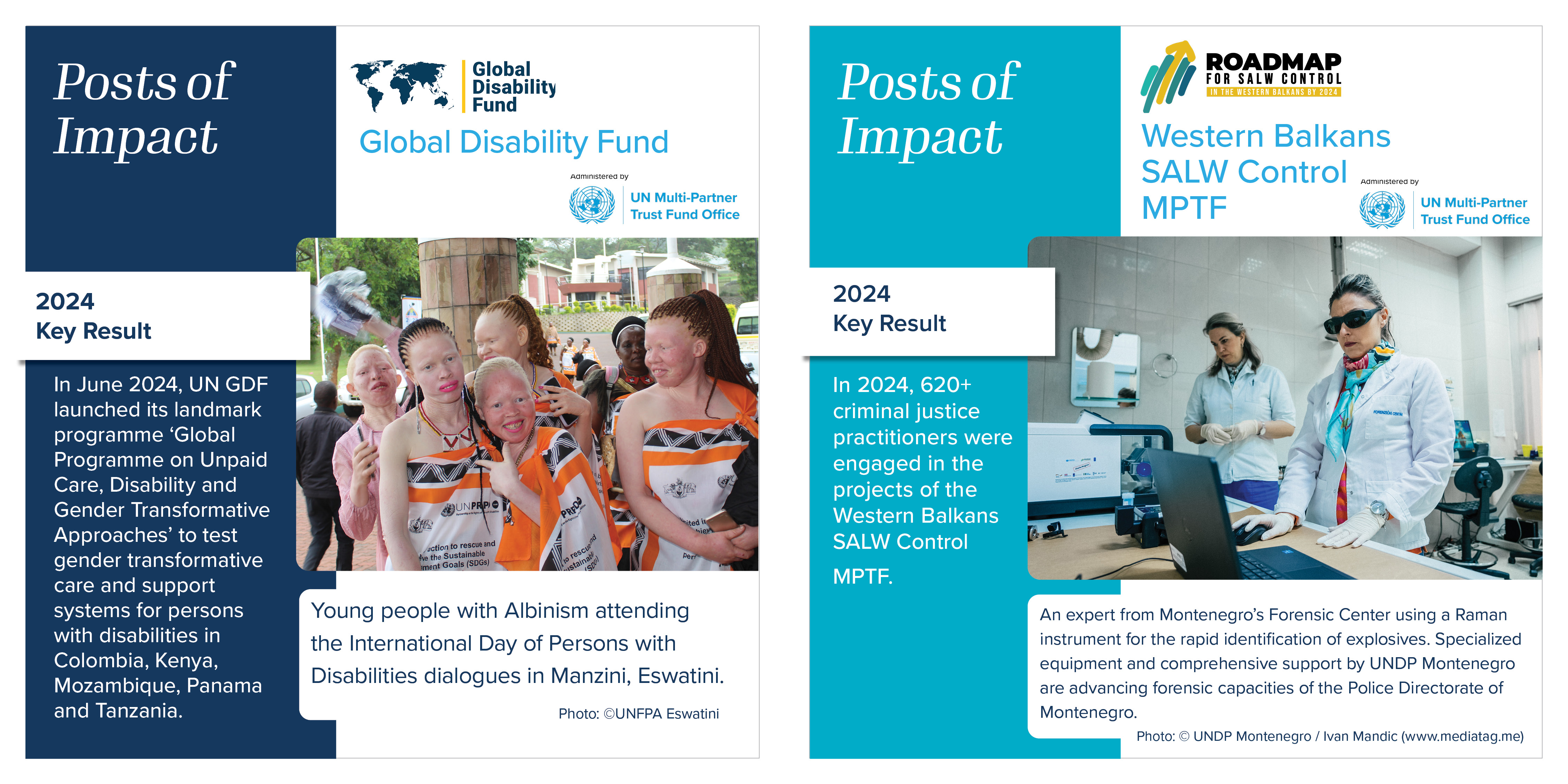 Global Disability Fund and Western Balkans SALW Control  MPTF