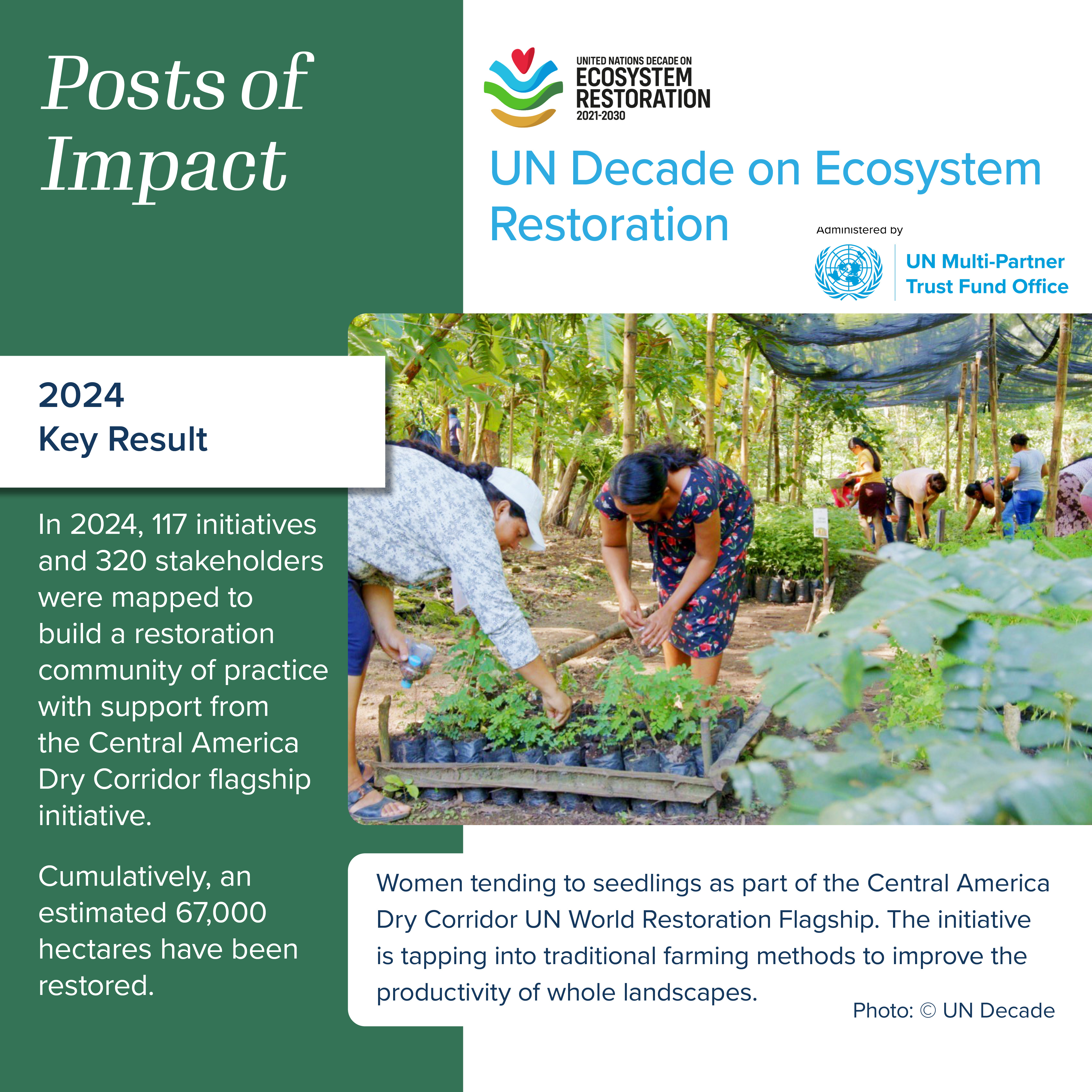 UN Decade on Ecosystem Restoration 2024 results POI