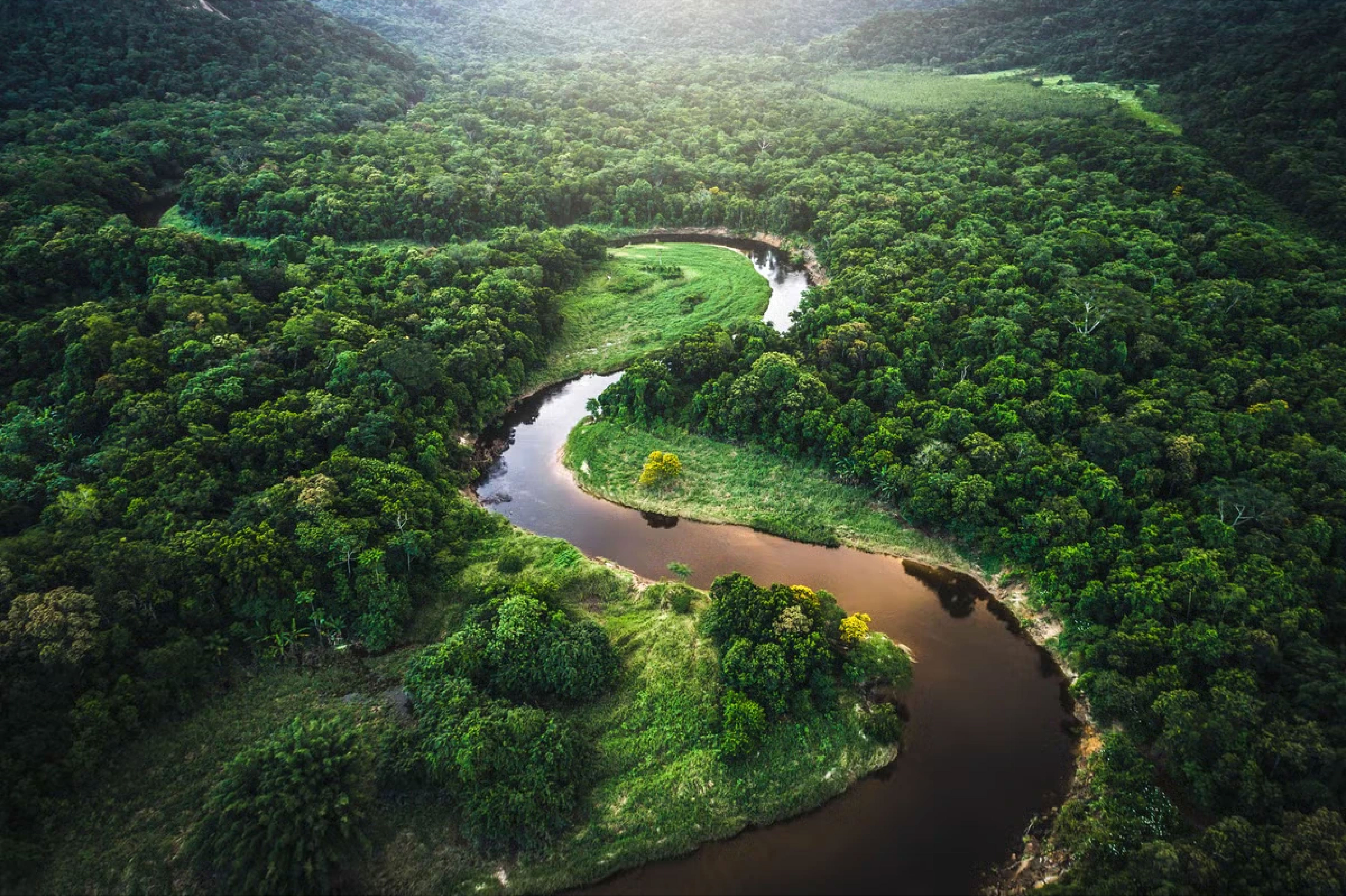 page_news pic_12_august_2025_brazil