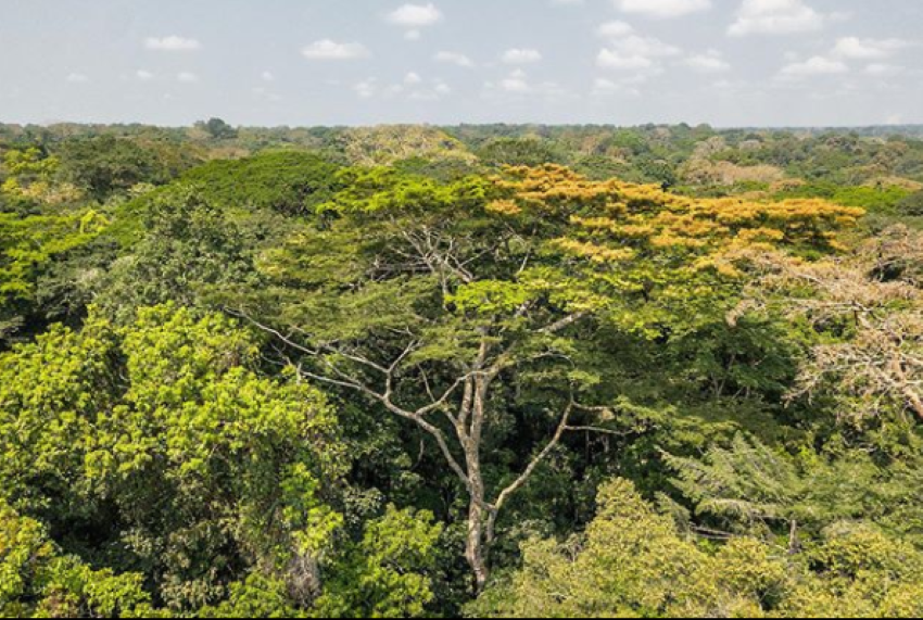 unredd_news_pic_10_march_2026