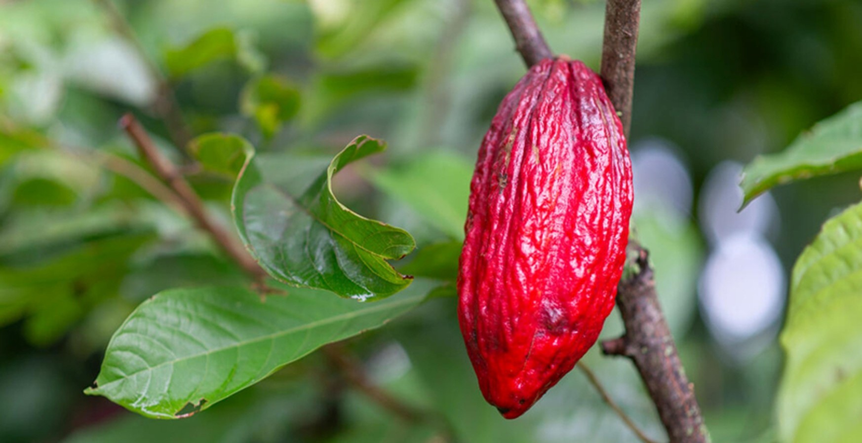 unredd_news_pic_16_march_2026