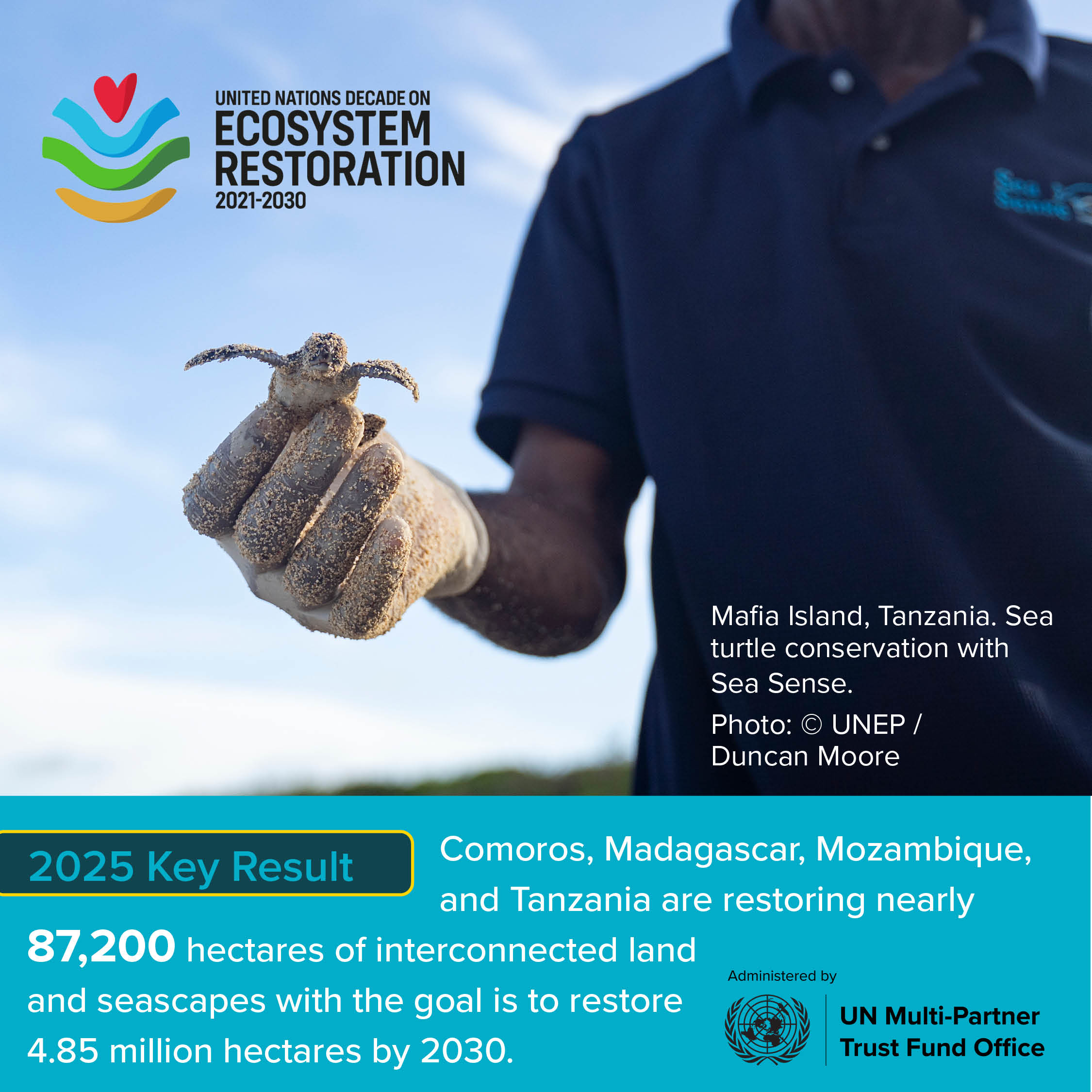 posts_of_impact_ar_2025_decade_ecosystem.jpg (377.29 KB)