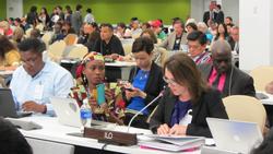UNIPP at the 13th Session of the UN Permanent Forum on Indigenous Peoples