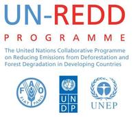 New Phase of UN-REDD launched at COP 21