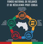 The Government of the Republic of Guinea establishes the National Post-Ebola Recovery and Resilience Fund