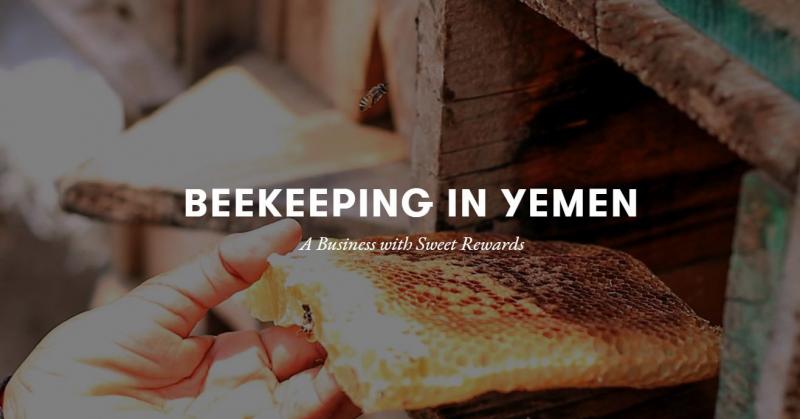 Beekeeping Yemen