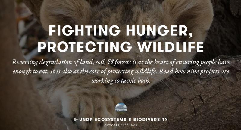 The Lion's Share Fighting hunger protecting wildlife