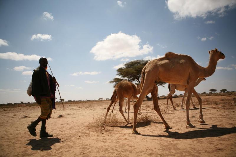 UNDP Somalia