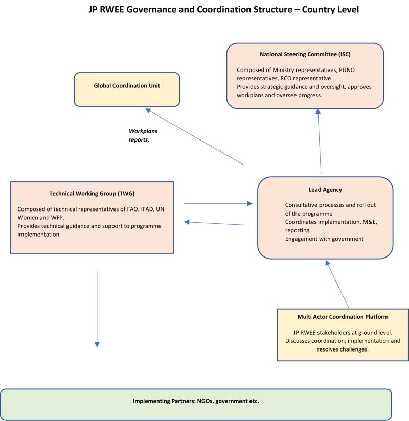 RWEE Governance Structures country level