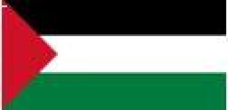 Newly Established occupied Palestinian territory Trust Fund (oPt Trust Fund)