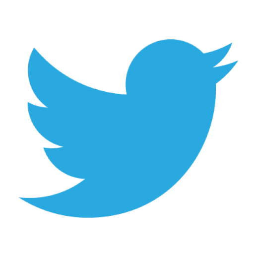 UNDP twitter logo
